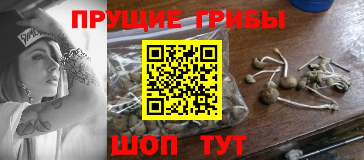 Гатчина  Галлюциногенные грибы Cubensis  Псилоцибиновые грибы мухоморы  Вход с VPN 